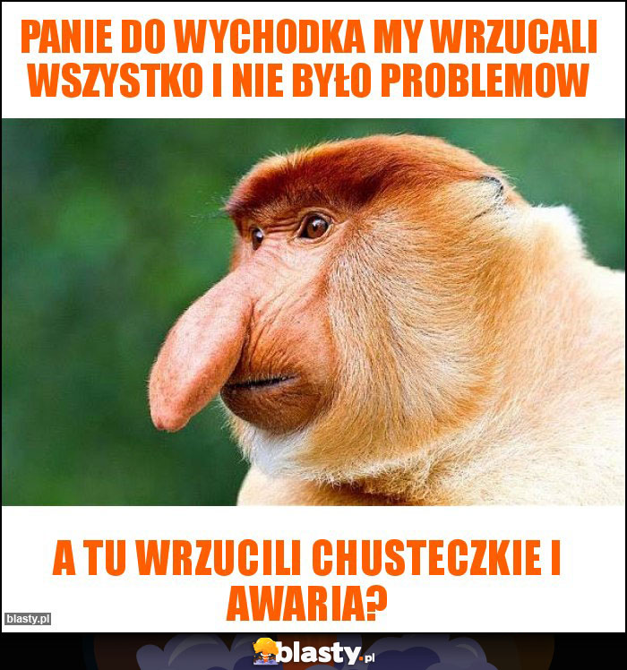 Panie do wychodka my wrzucali wszystko i nie było problemow