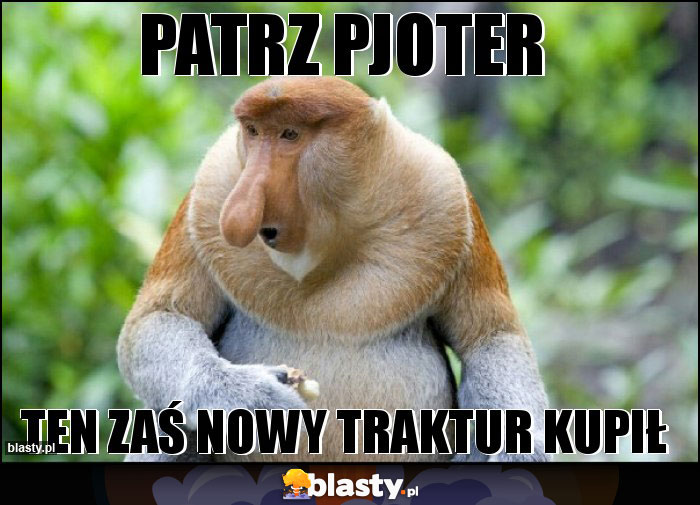 Patrz pjoter
