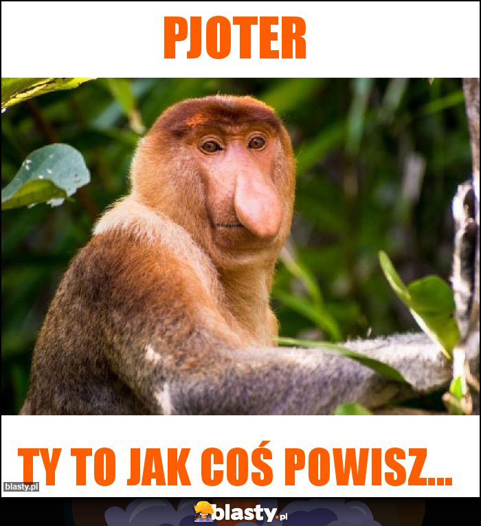 Pjoter