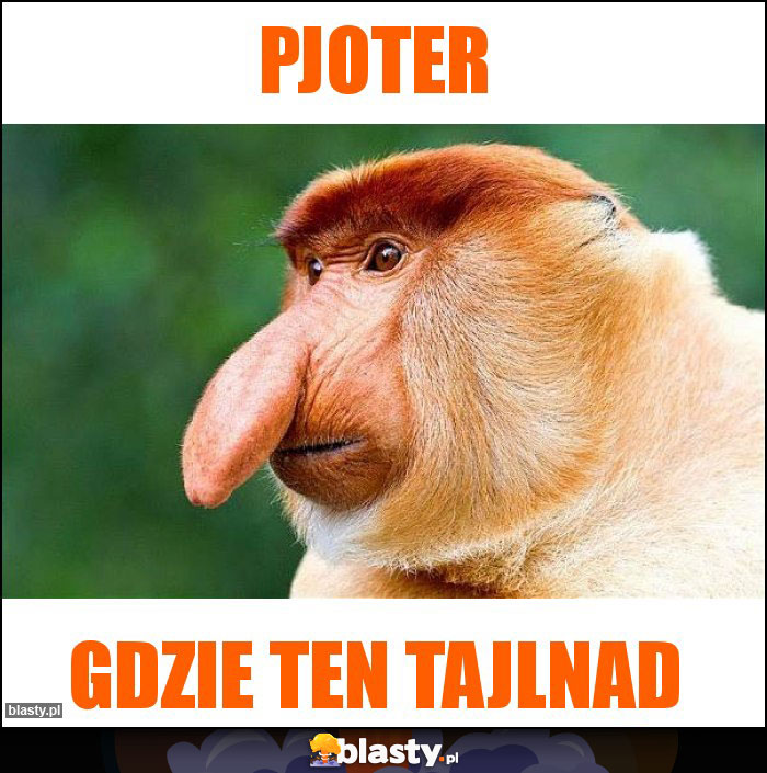 PJOTER
