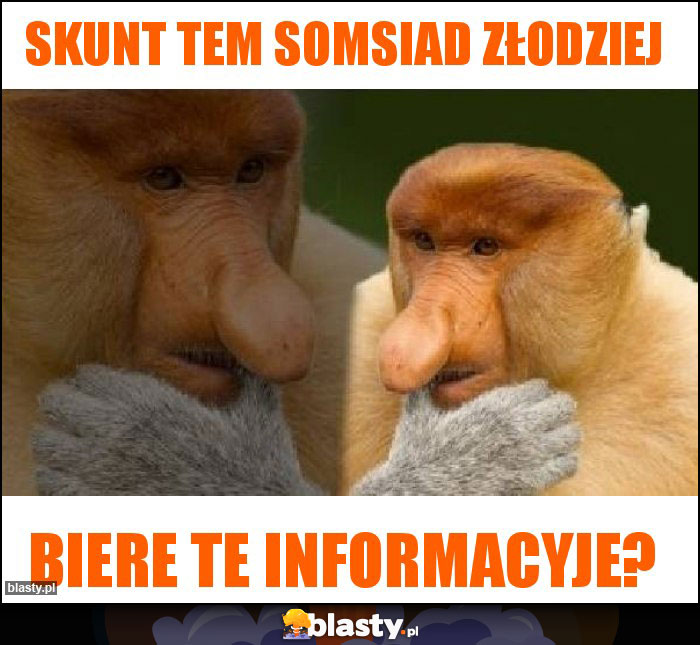 skunt tem somsiad złodziej