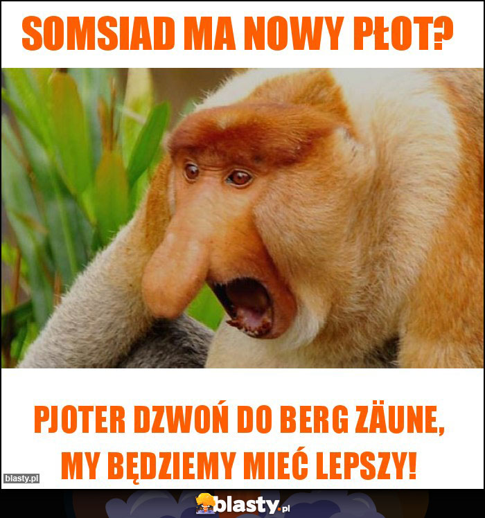 Somsiad ma nowy płot?