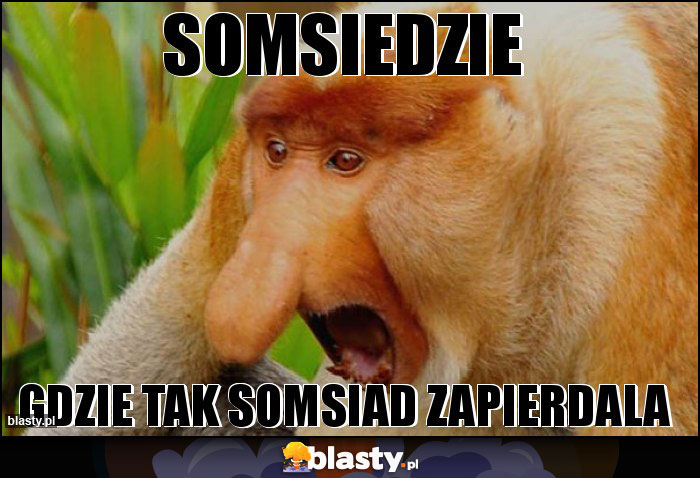 SOMSIEDZIE