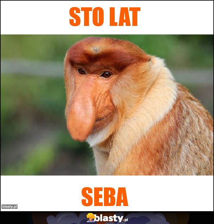 STO LAT