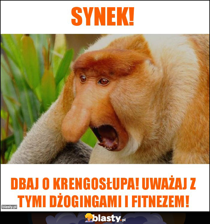 Synek!