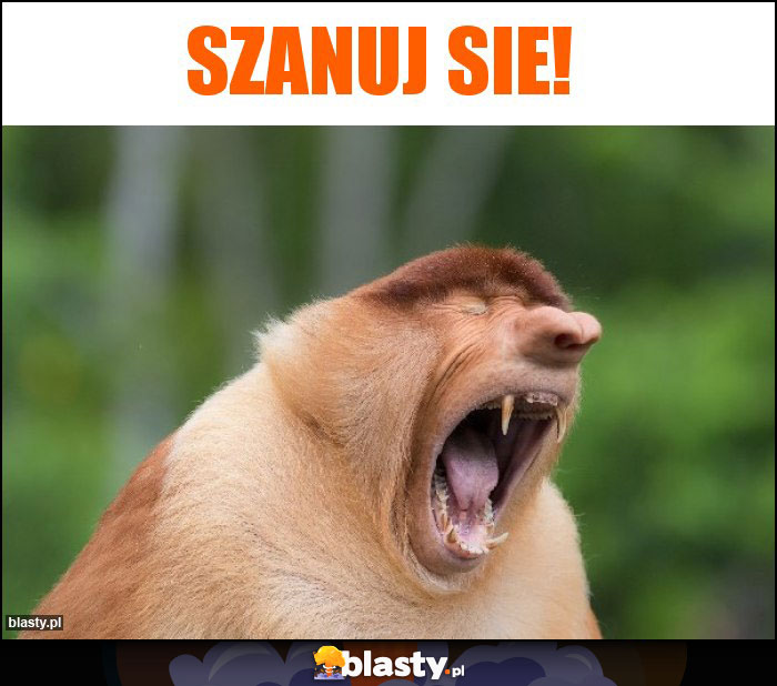 SZANUJ SIE!