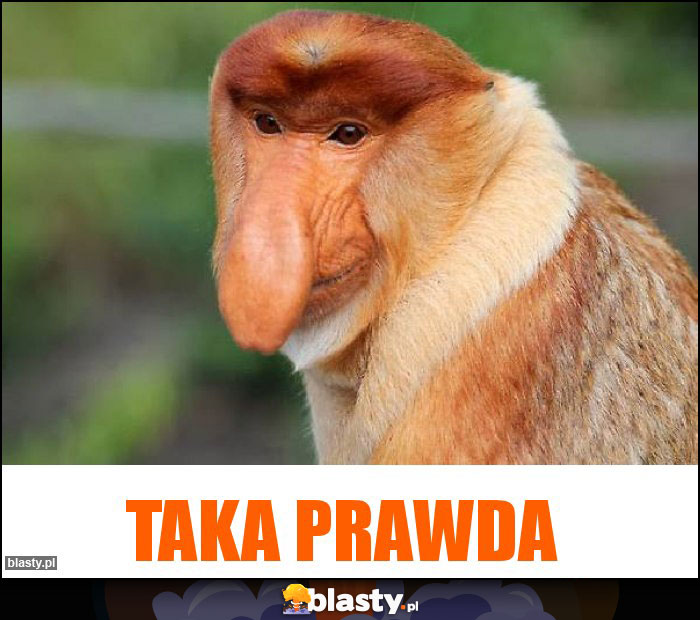 taka prawda