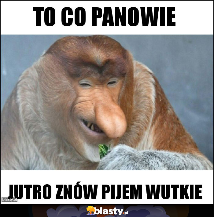 To co panowie