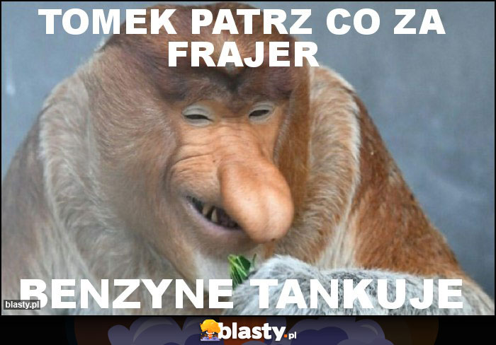 Tomek patrz co za frajer