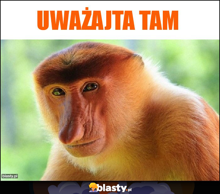 UWAŻAJTA TAM