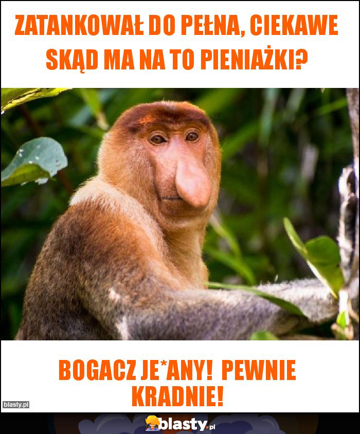 Zatankował do pełna, ciekawe skąd ma na to pieniażki?