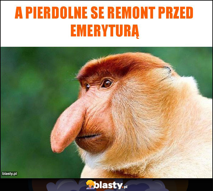 a pierdolne se remont przed emeryturą