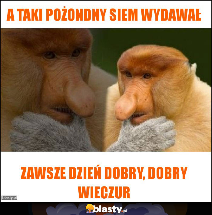 A TAKI POŻONDNY SIEM WYDAWAŁ