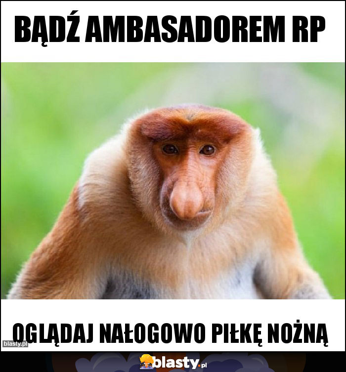 Bądź ambasadorem rp