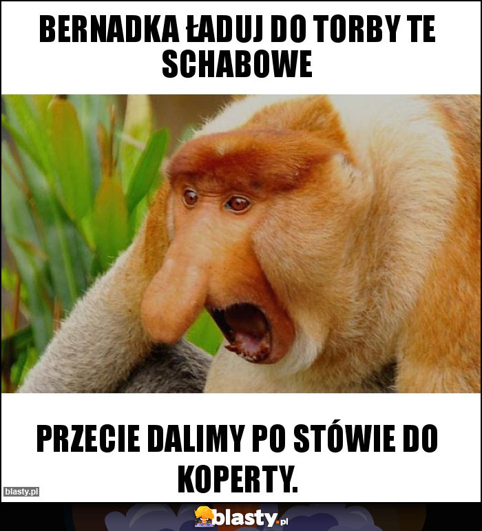 Bernadka ładuj do torby te schabowe