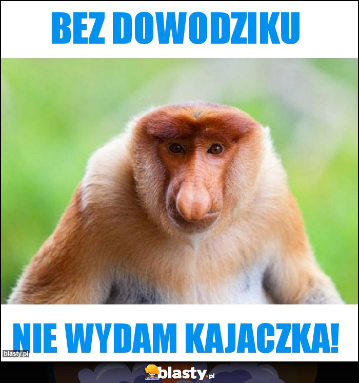 Bez dowodziku