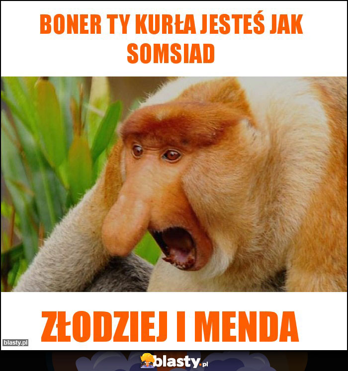 BONER TY KURŁA JESTEŚ JAK SOMSIAD