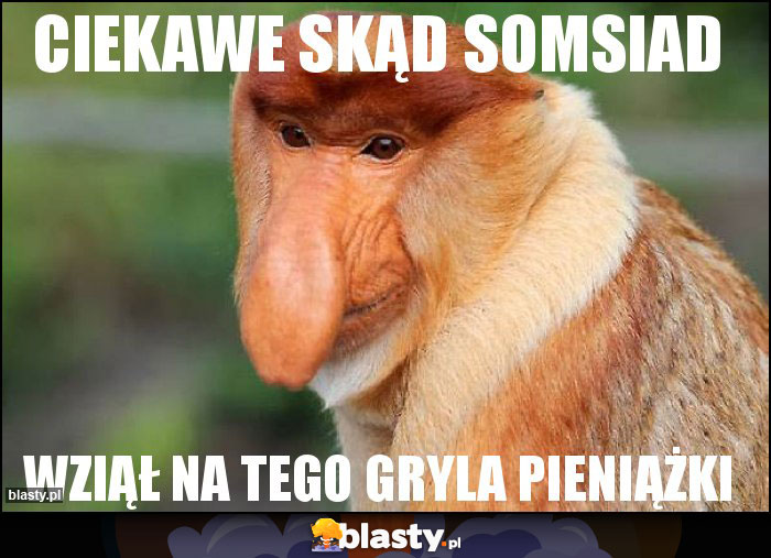 ciekawe skąd somsiad