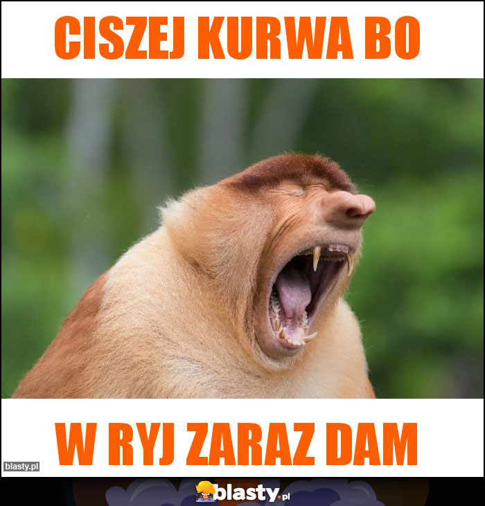 Ciszej kurwa bo