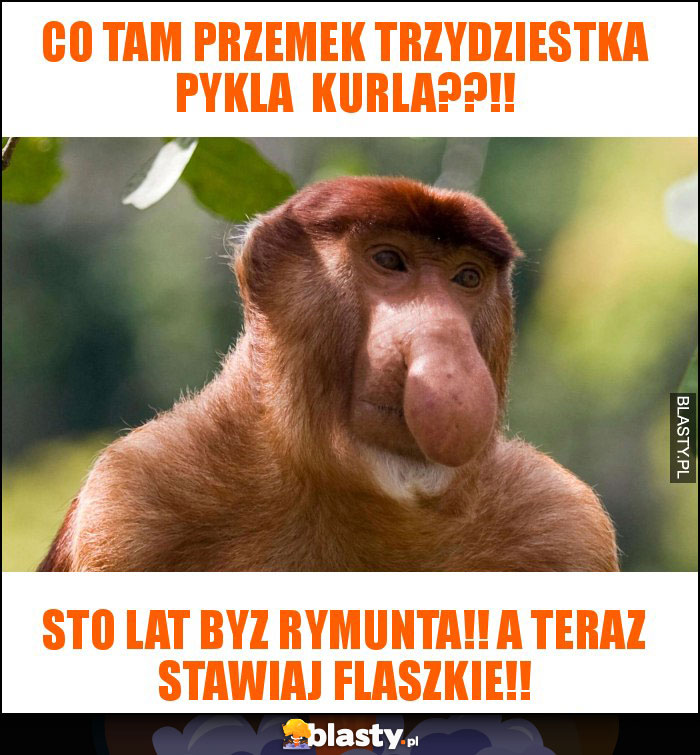 Co tam przemek trzydziestka pykla  kurla??!!