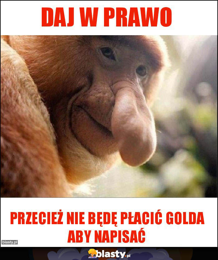 Daj w prawo