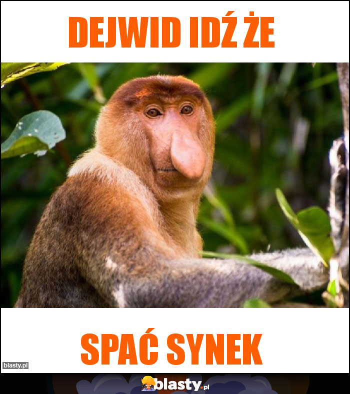Dejwid idź że