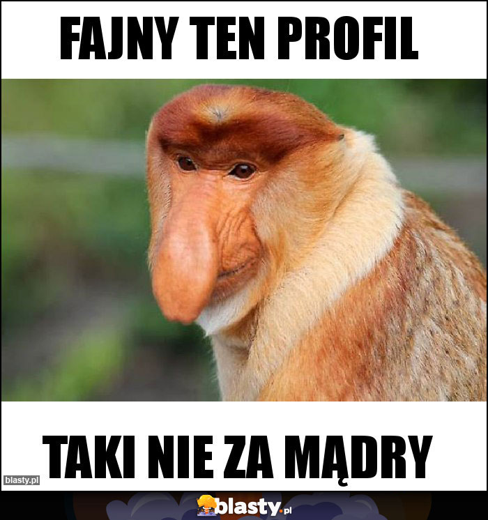 Fajny ten profil