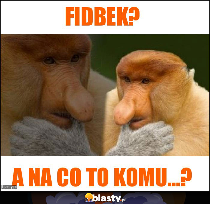 FIDBEK?