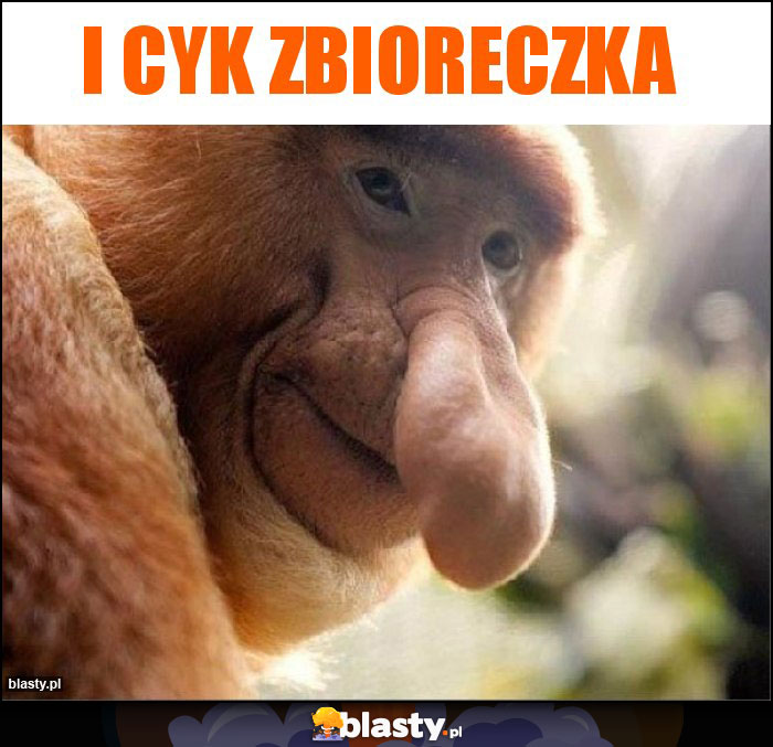 I cyk zbioreczka