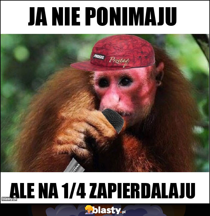 Ja nie ponimaju