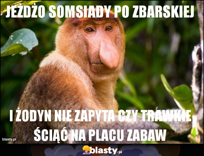 jeżdżo somsiady po zbarskiej