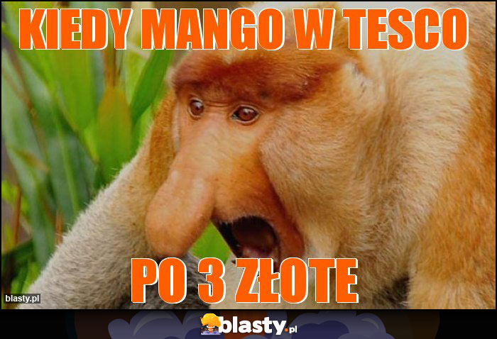 Kiedy mango w Tesco