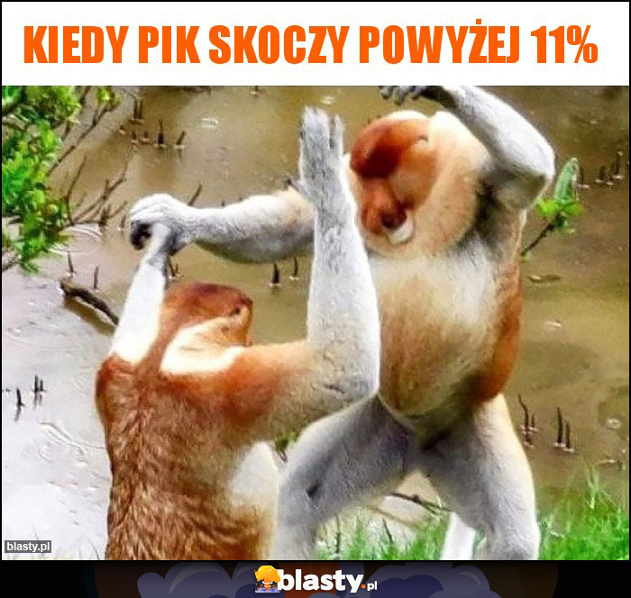 Kiedy PiK skoczy powyżej 11%