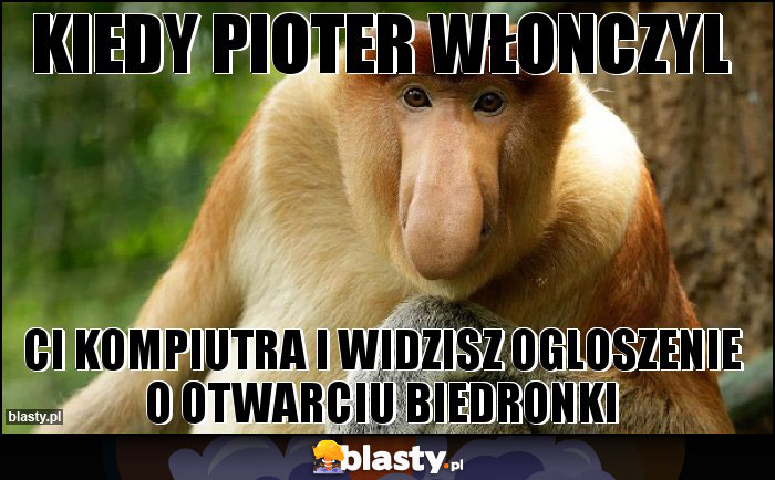 Kiedy pioter włonczyl