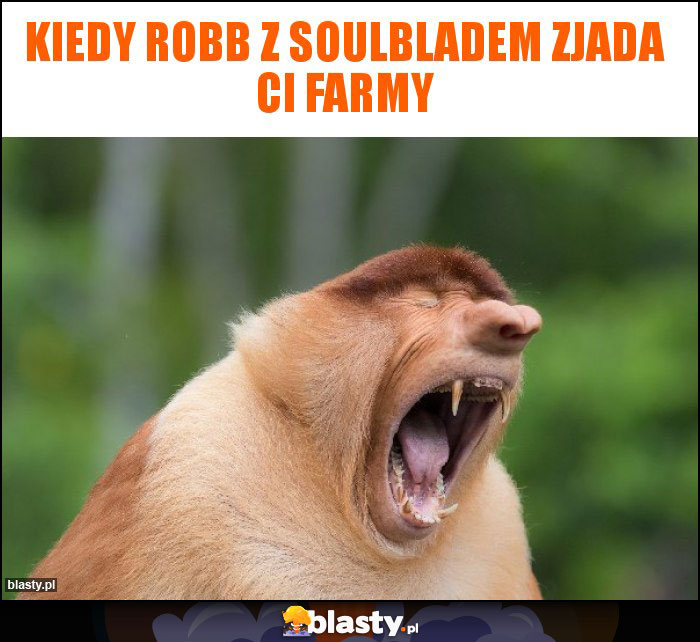 Kiedy Robb z SoulBladem zjada Ci farmy