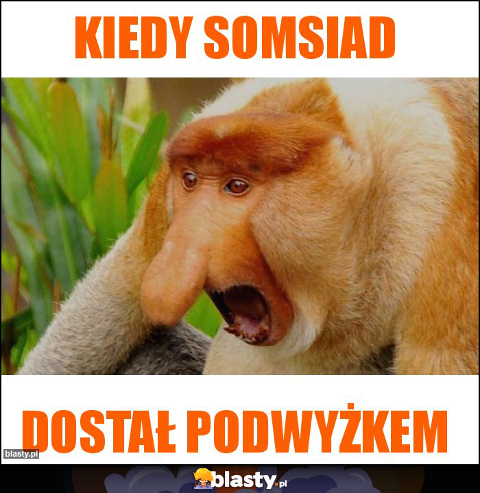 Kiedy somsiad