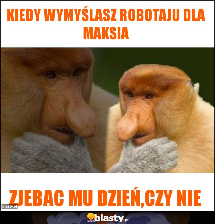 Kiedy wymyślasz robotaju dla maksia