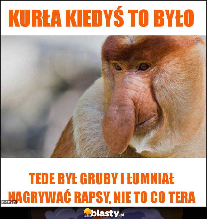 Kurła kiedyś to było