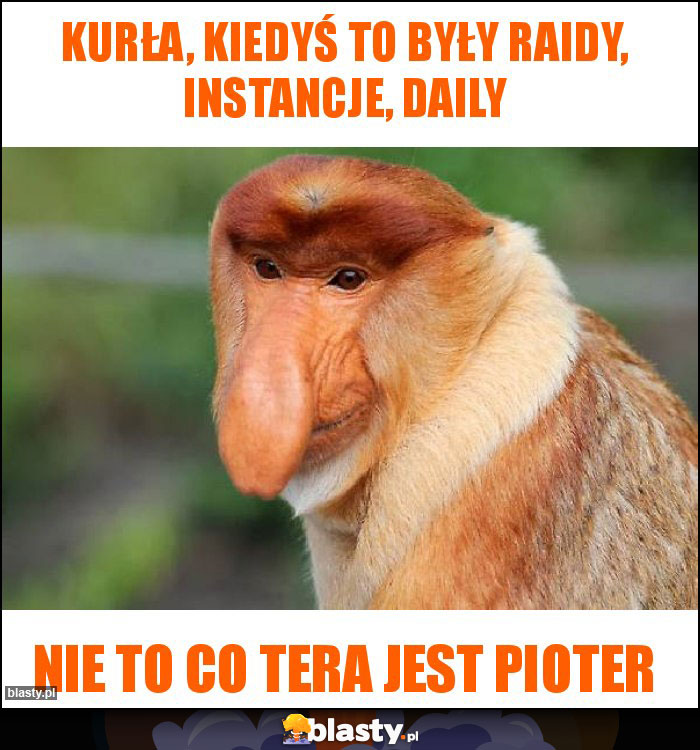 Kurła, kiedyś to były raidy, instancje, daily