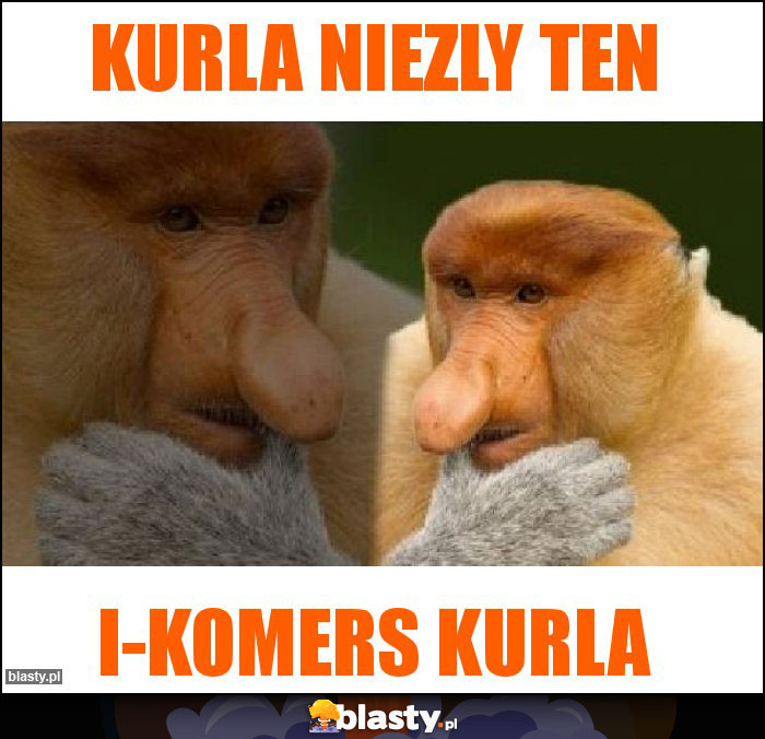 Kurla niezly ten