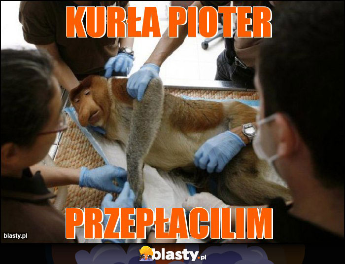 Kurła Pioter