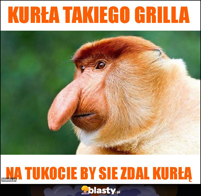 Kurła takiego grilla
