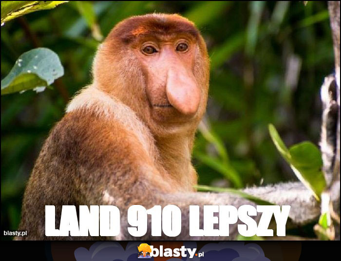 Land 910 lepszy