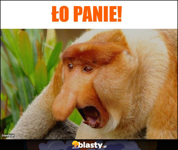 Ło panie!