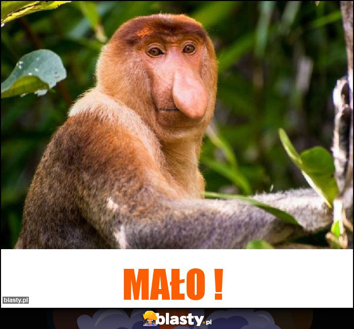 MAŁO !