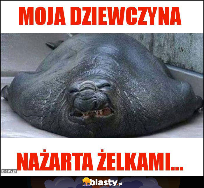 Moja dziewczyna