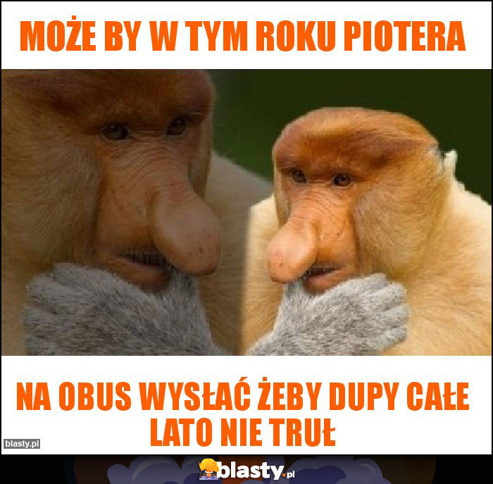 Może by w tym roku piotera