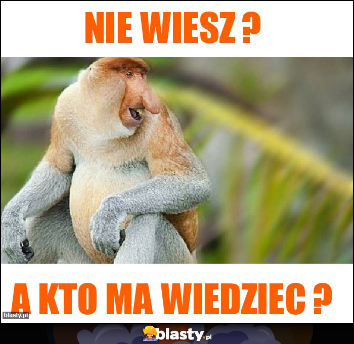 nie wiesz ?