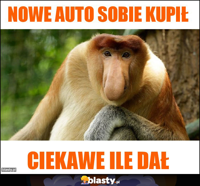 Nowe auto sobie kupił