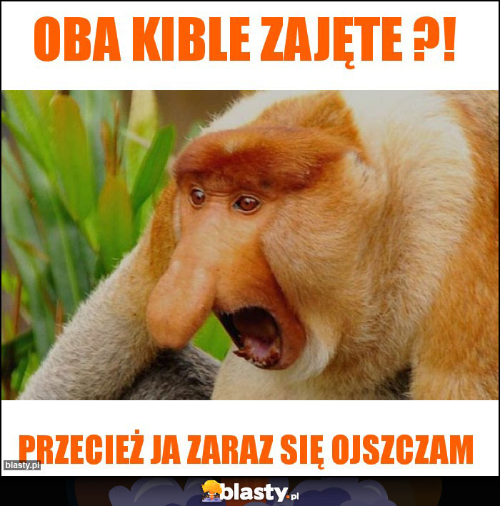 oba kible zajęte ?!